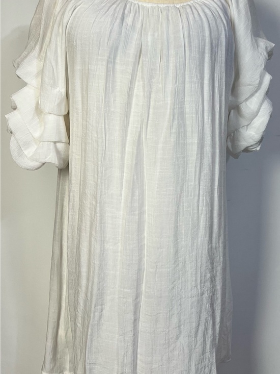 indigo Rose Dresses & Skirts - Indigo Rose White Ruffle Sleeve Gauze Dress